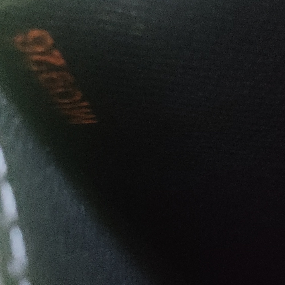 LV Clutch WITH Clutch Strap Clochette & Key! - Picture 8 of 17